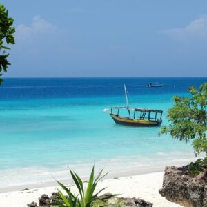 Last Minute 12 daagse safari Selous & Zanzibar deluxe