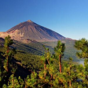 Last Minute Fly drive Tenerife