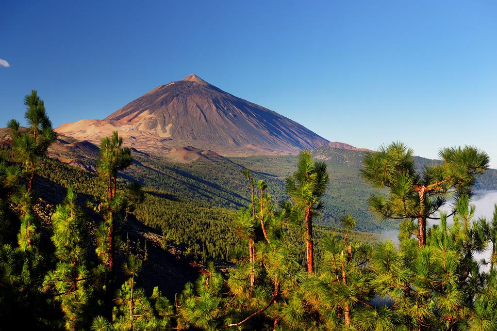 Last Minute Fly drive Tenerife