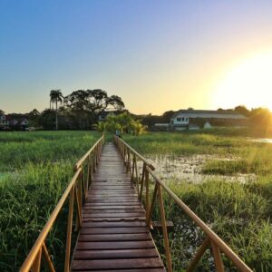 Last Minute 10 daagse reis a taste of Suriname
